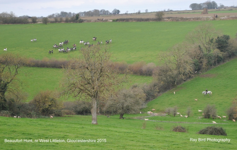 Beaufort Hunt, West Littleton, Gloucestershire 2015