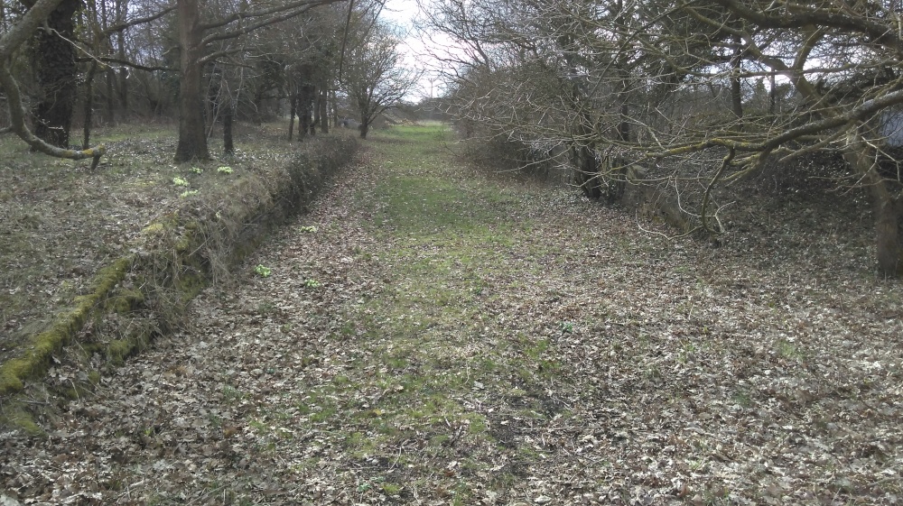 The site of the railway station at Laxfield, Suffolk