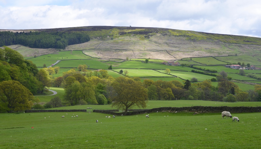 Bransdale near Helmsley photo by Paul V. A. Johnson