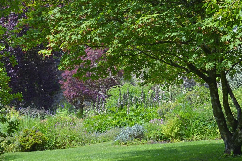 Colby Woodland Garden photo by Paul V. A. Johnson