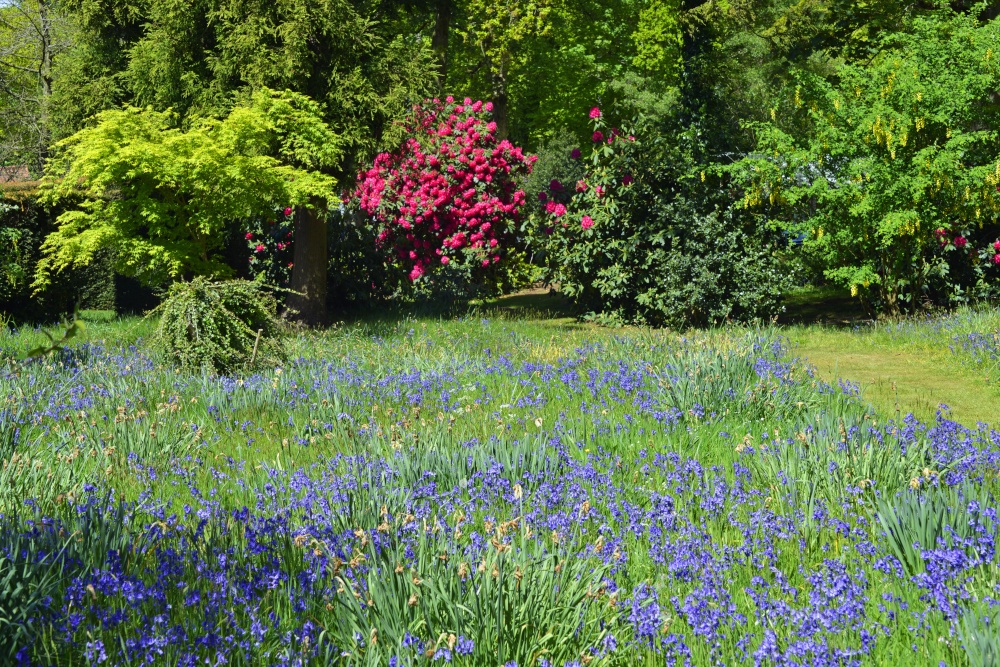 Stody Lodge Garden