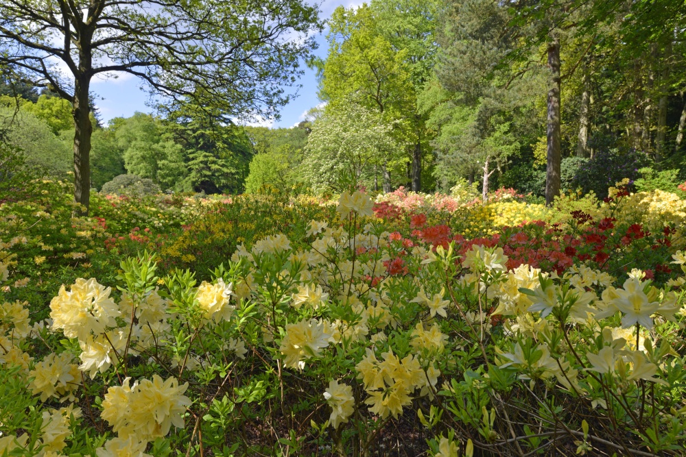 Stody Lodge Garden