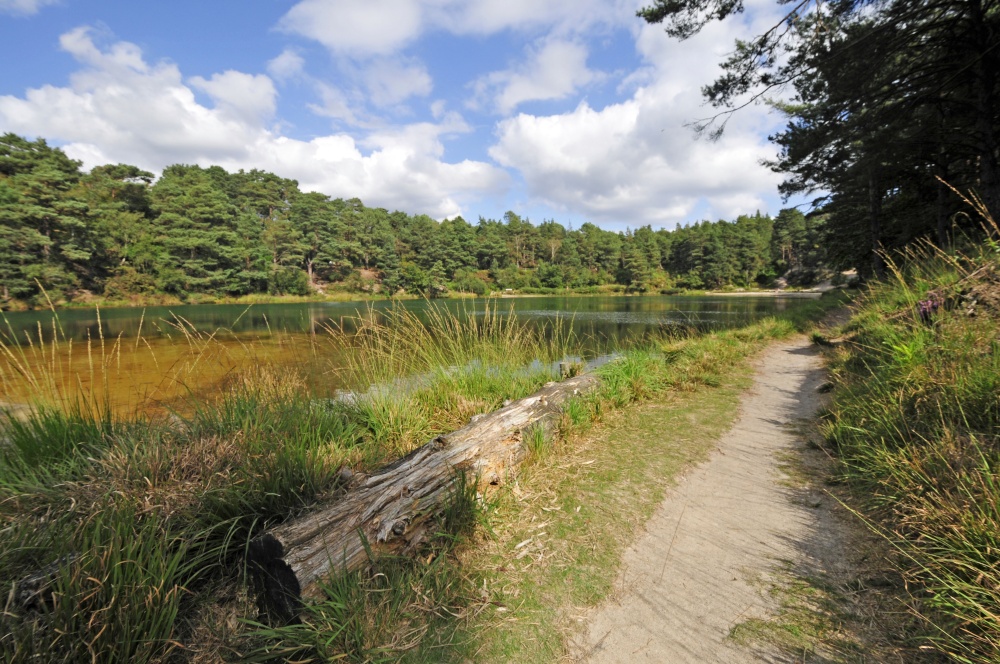 Blue Pool, Furzebrook