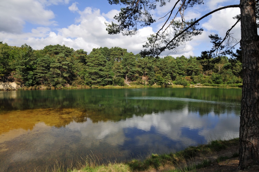 Blue Pool, Furzebrook