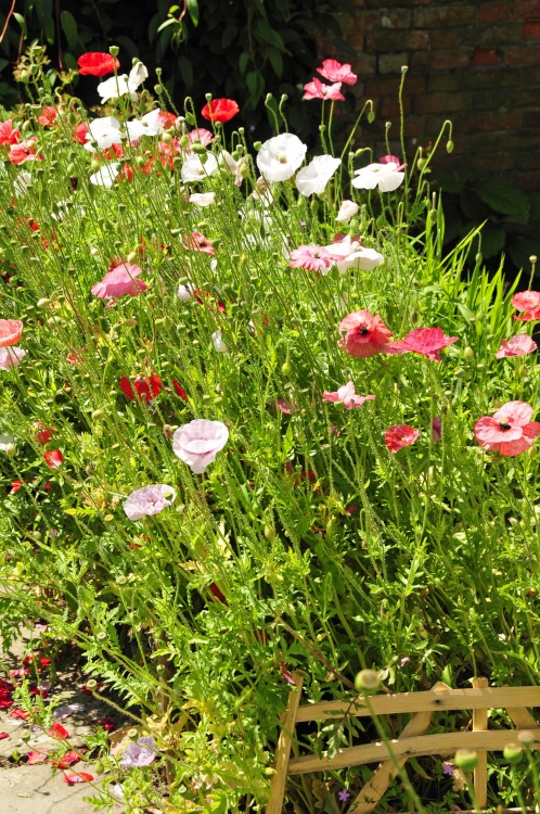 Great Dixter House and Garden