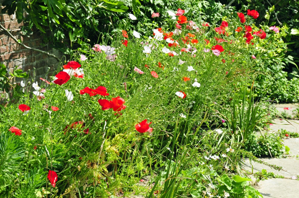 Great Dixter House and Garden