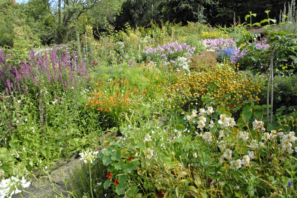 Sleightholmedale Lodge Garden, Fadmoor, North Yorkshire