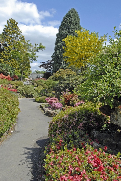 Leonardslee Garden, West Sussex