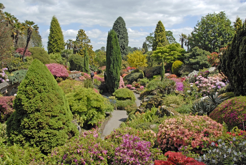 Leonardslee Garden, West Sussex