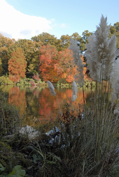 Sheffield Park Garden, Uckfield,