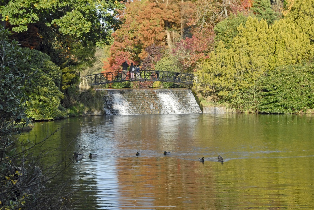 Sheffield Park Garden