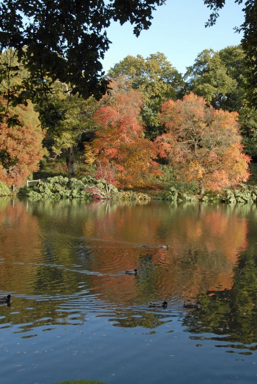 Sheffield Park Garden, Uckfield