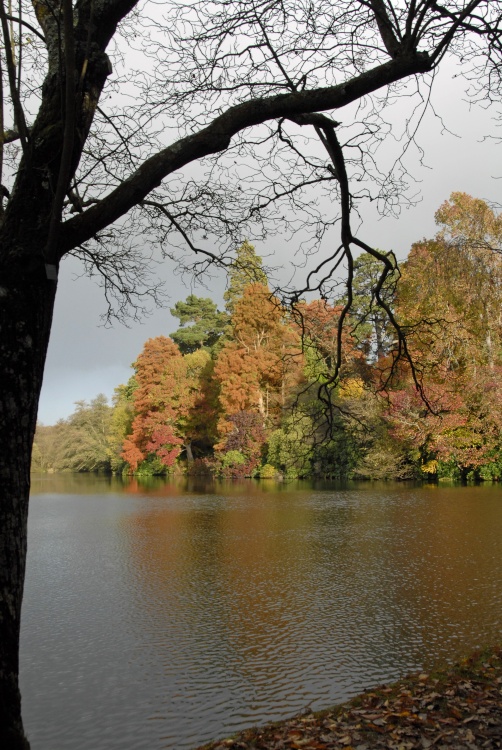 Sheffield Park Garden, Uckfield