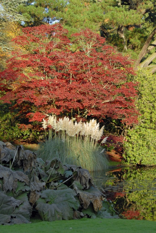 Sheffield Park Garden, Uckfield