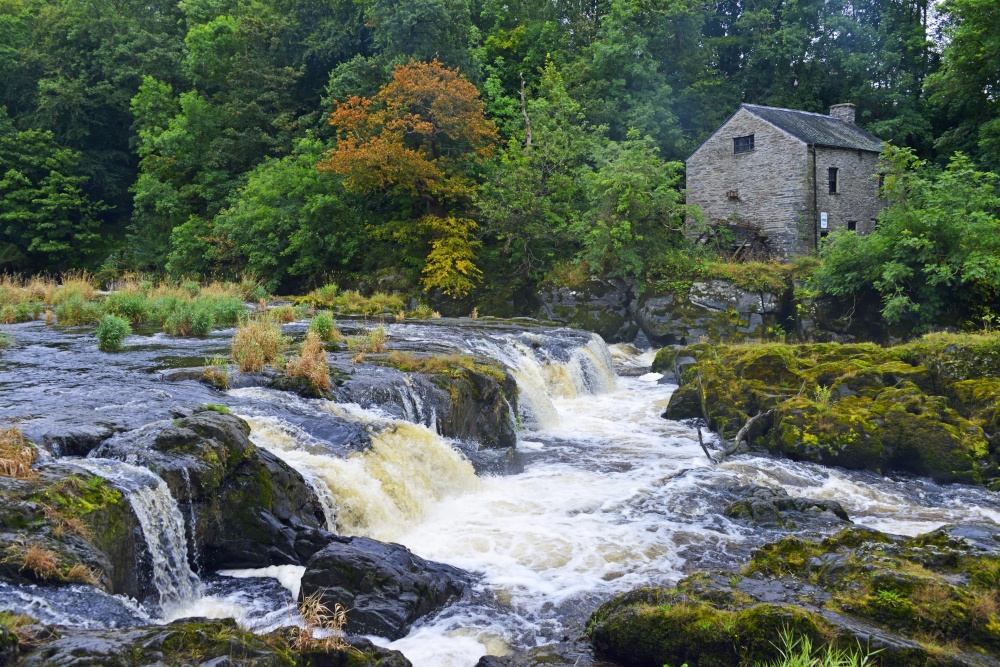 Cenarth Falls