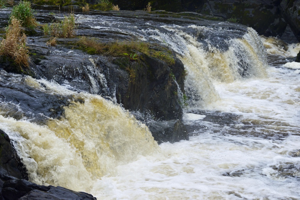 Cenarth Falls