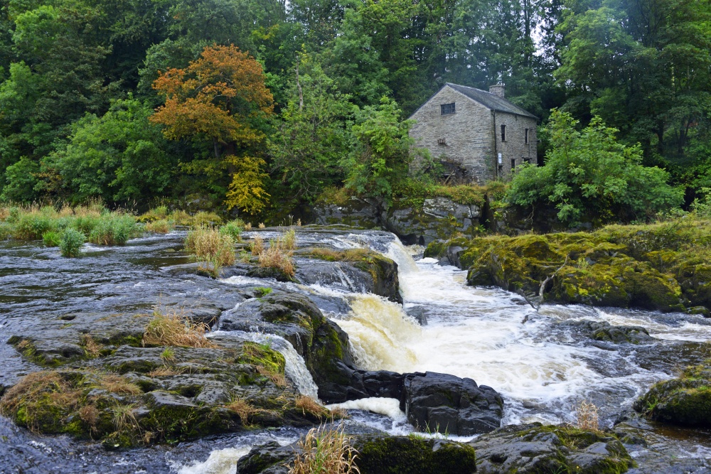 Cenarth Falls