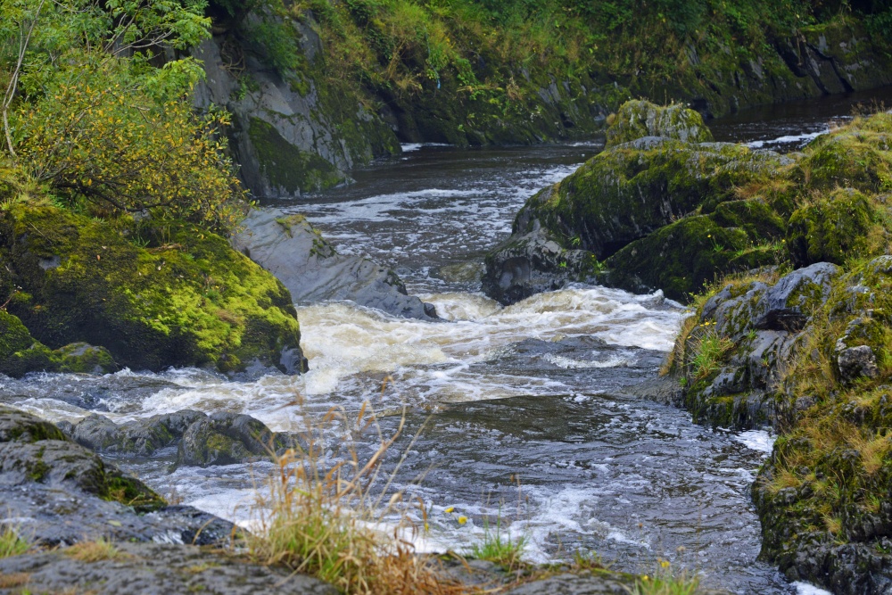 Cenarth Falls