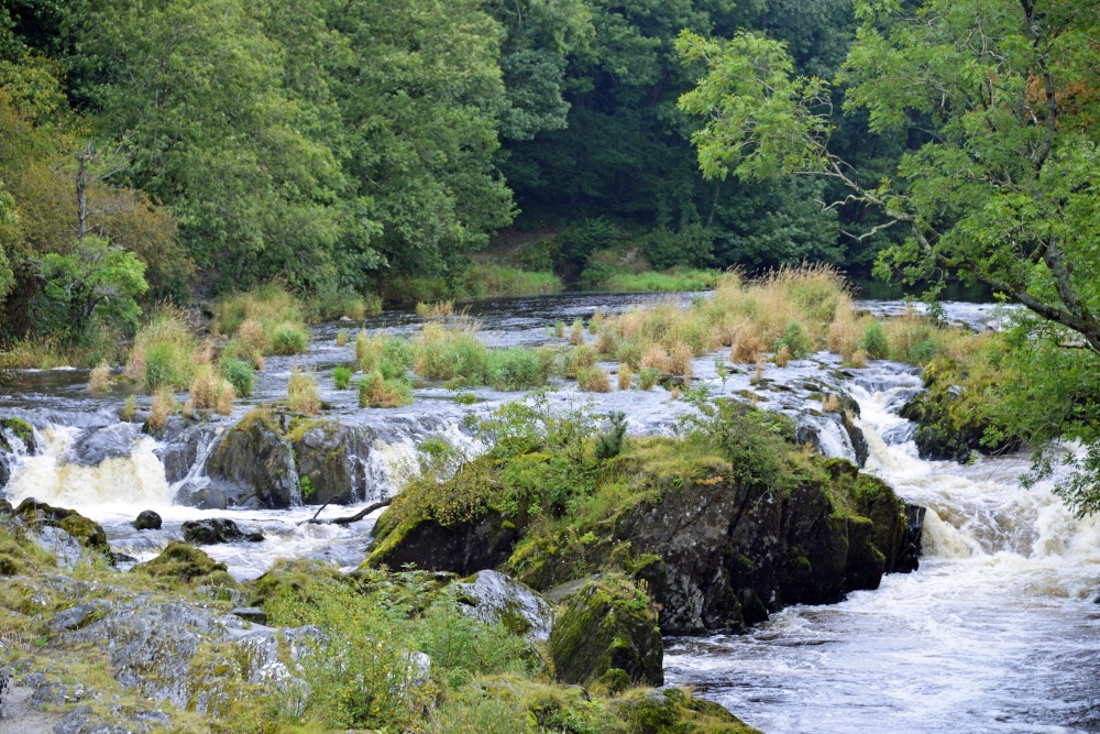 Cenarth Falls