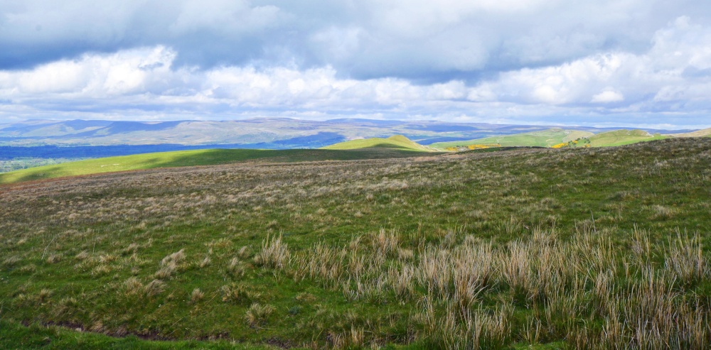 Photograph of The Dales near Nateby