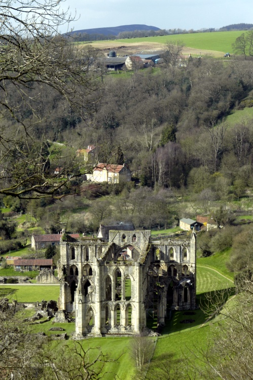 Rievaulx Abbey from the Terrace