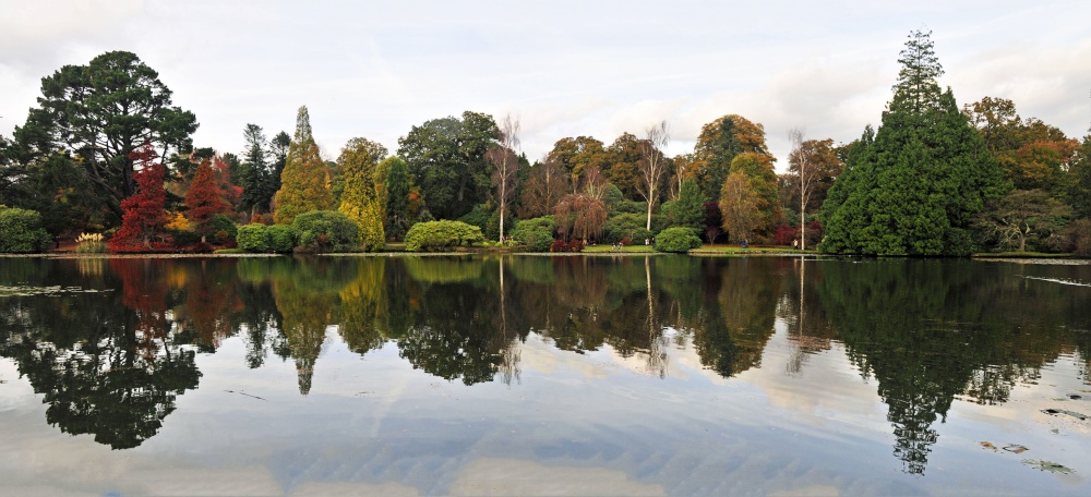 Sheffield Park Garden, Uckfield