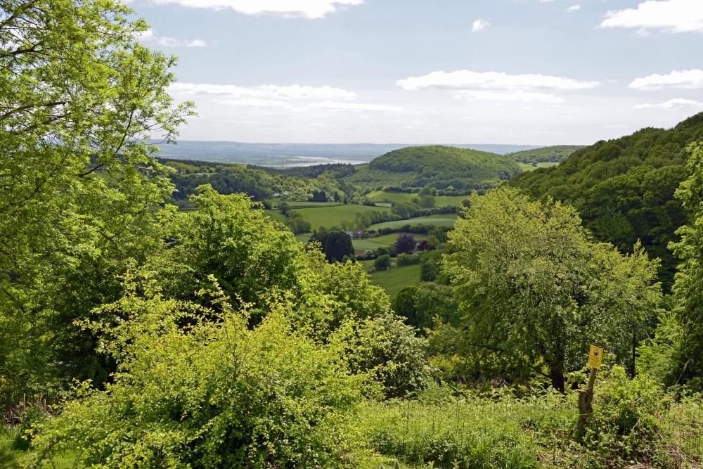 View from Plump Hill near Mitcheldean