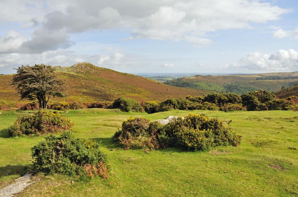 Dartmoor