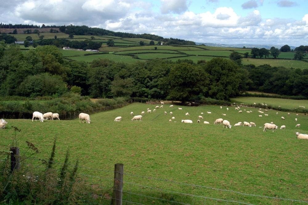 Photograph of Glycoch Farm