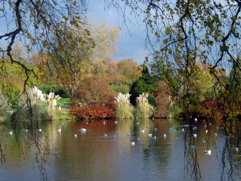 Wakehurst Place Garden