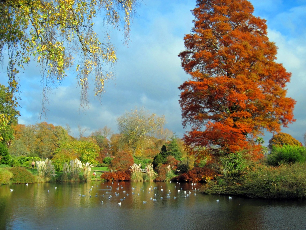 Wakehurst Place Garden