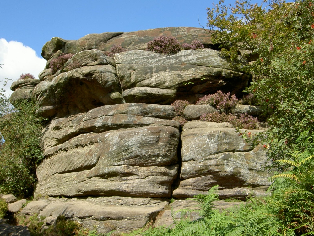 Brimham Rocks