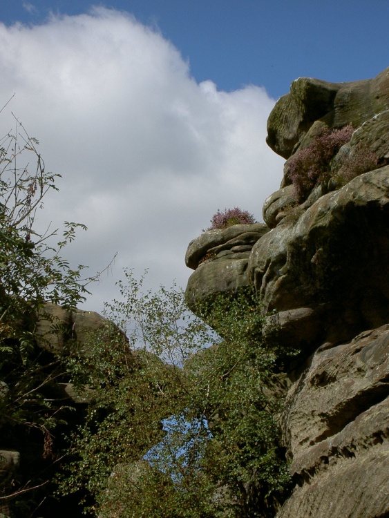 Brimham Rocks