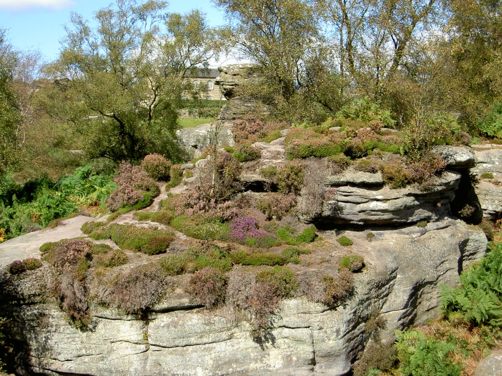 Brimham Rocks