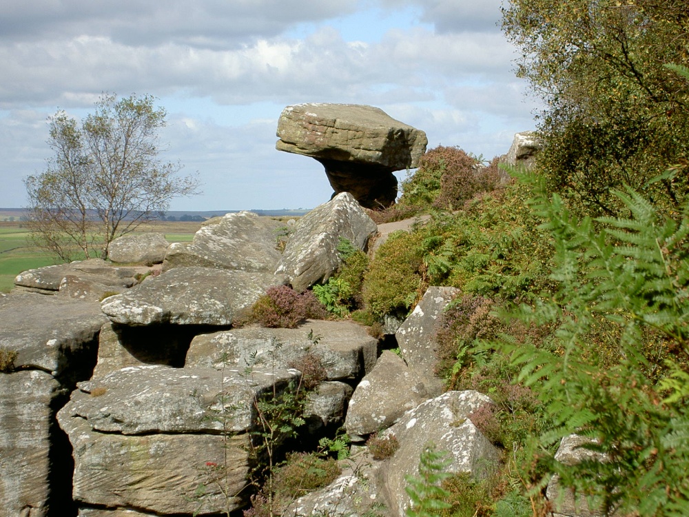 Brimham Rocks