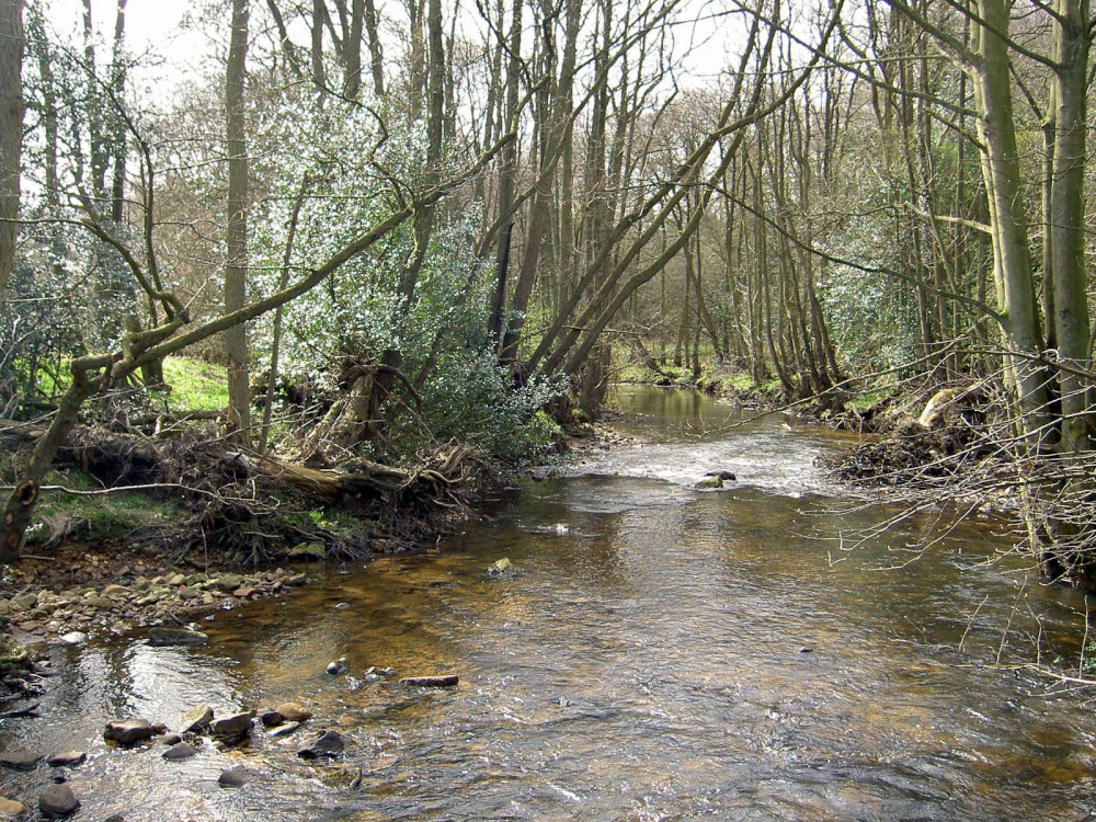 Sleightholmedale, Fadmoor, North Yorkshire