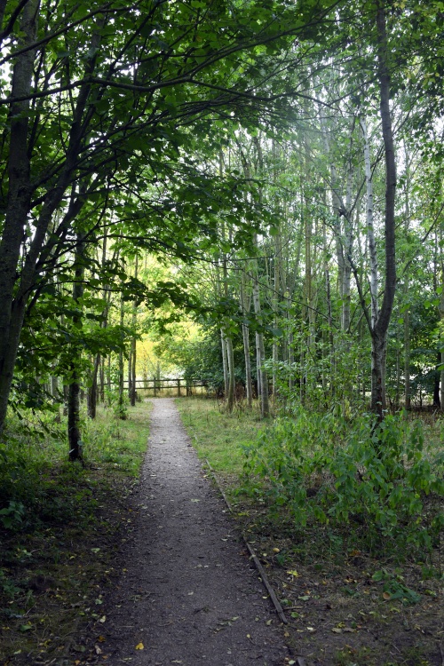 The Shropshire Hills Discovery Centre