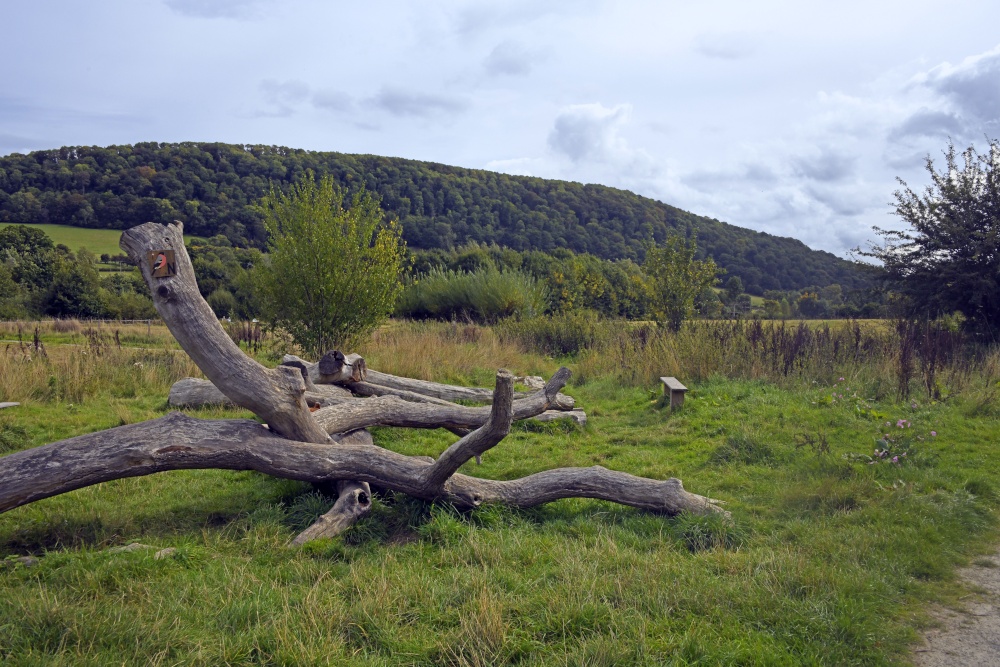 The Shropshire Hills Discovery Centre