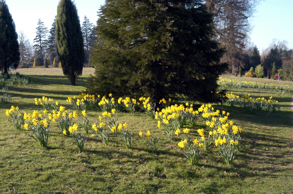 Batemans, East Sussex - garden