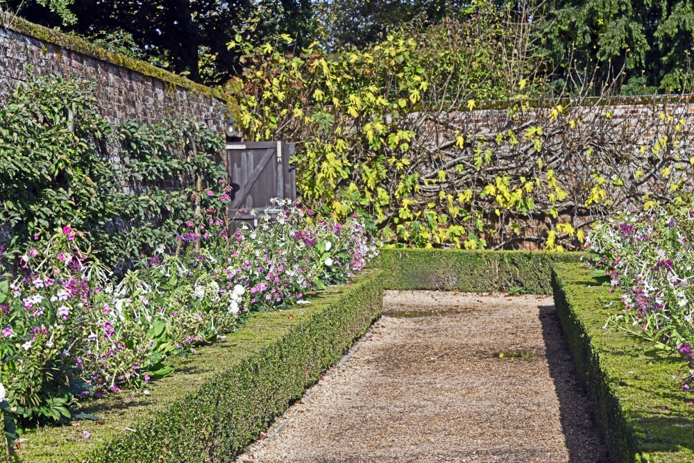 Hinton Ampner Garden