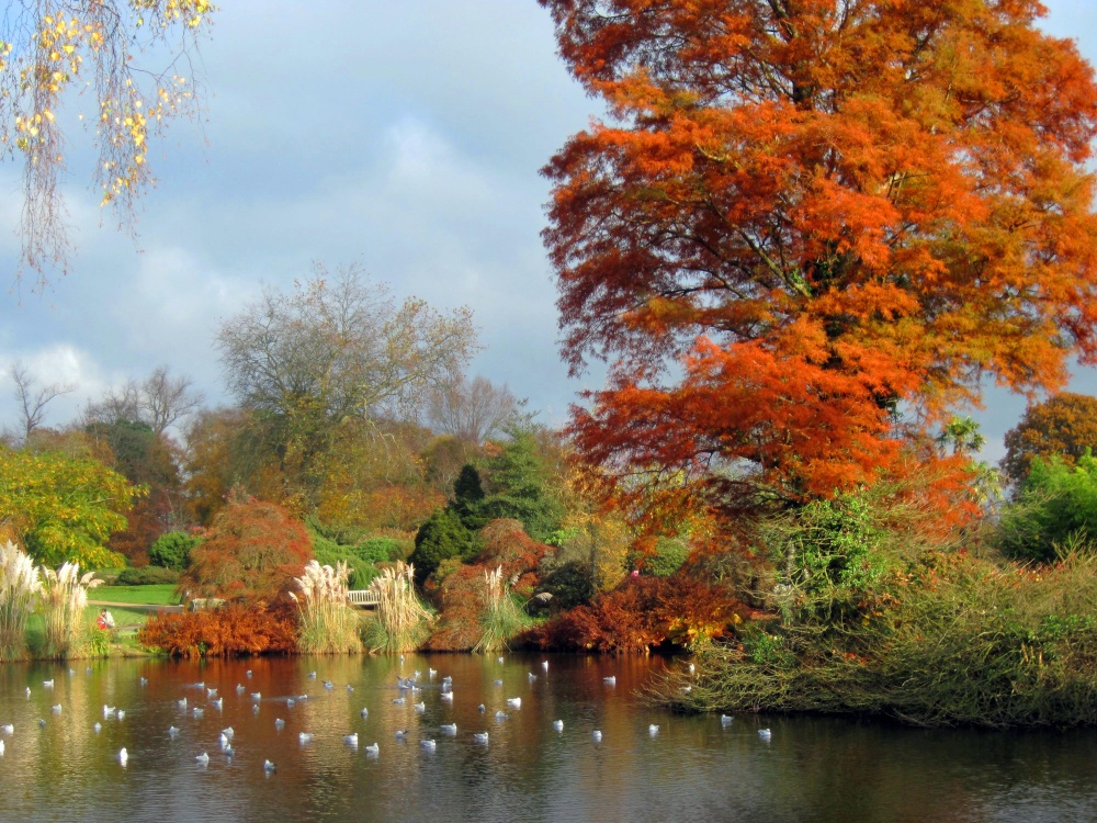 Wakehurst Place Garden