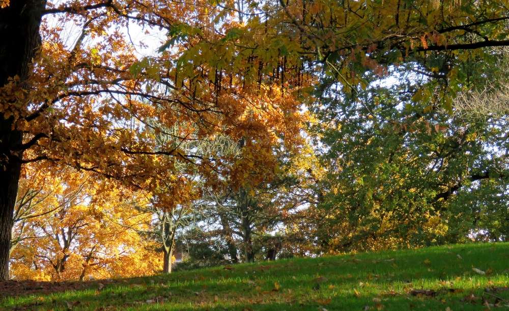 eastcote house gardens