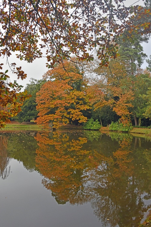 Sheffield Park Garden