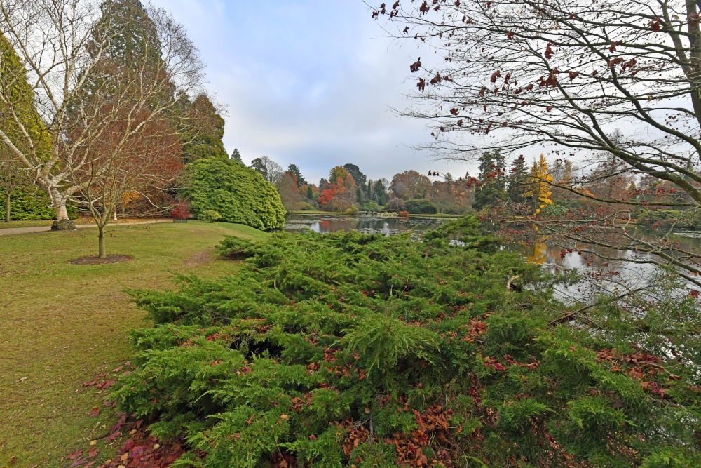 Sheffield Park Garden