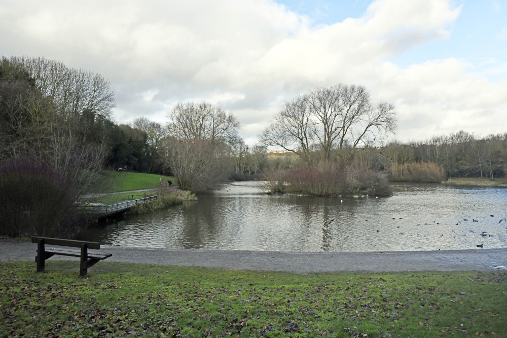 Capstone Country Park