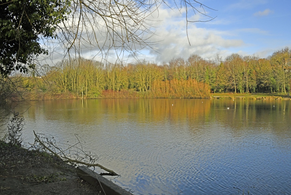 Capstone Country Park