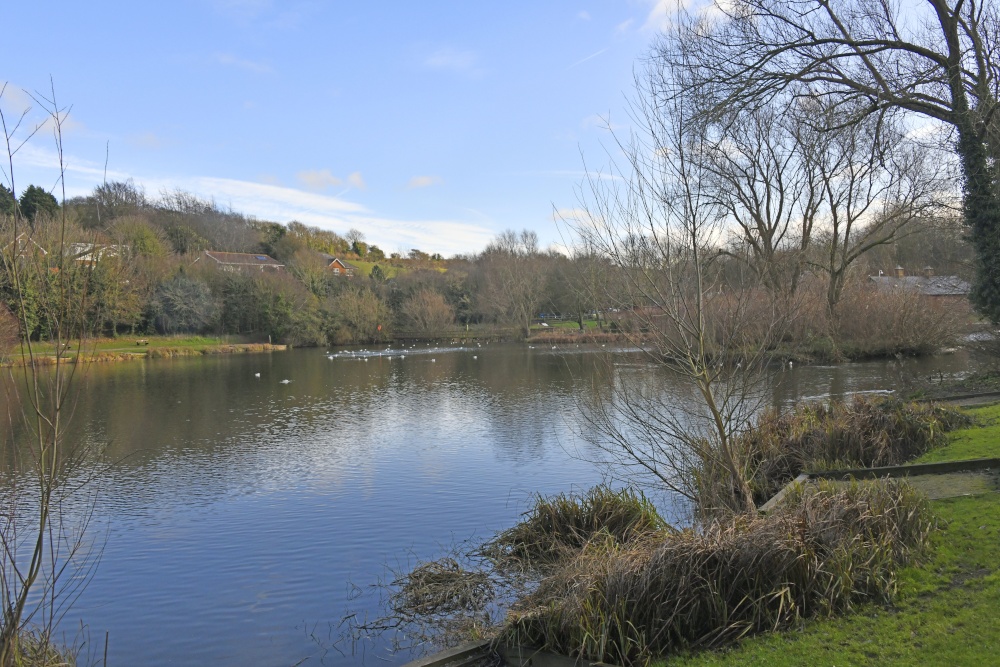 Capstone Country Park