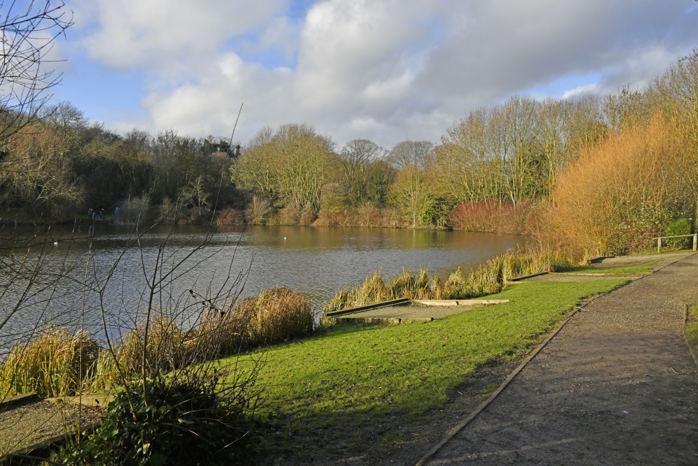 Capstone Country Park