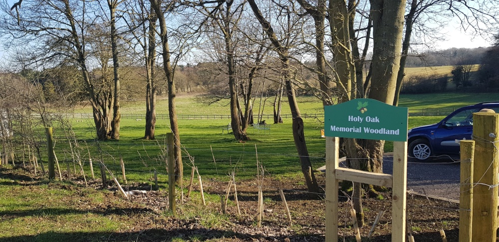 Holy Oak Memorial Woodland, Stanton Fitzwarren