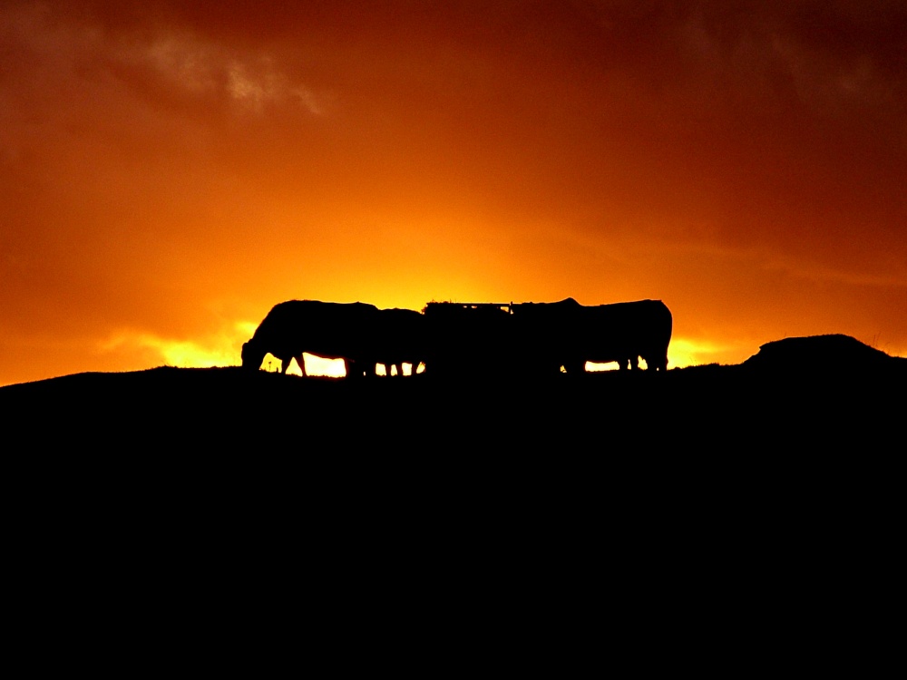 Sunset in Northumberland